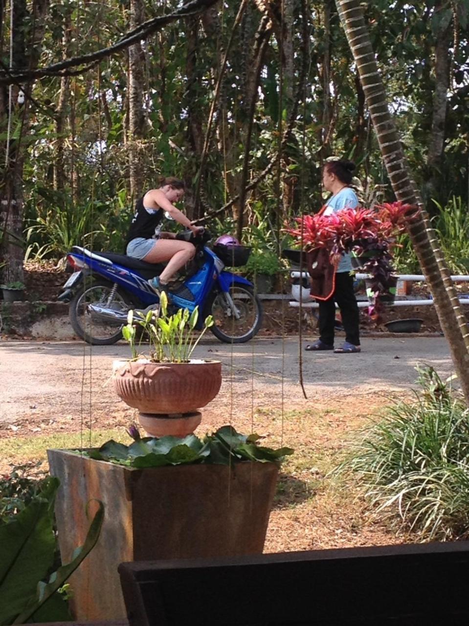 Mae Yao Resort Chiang Rai Ngoại thất bức ảnh